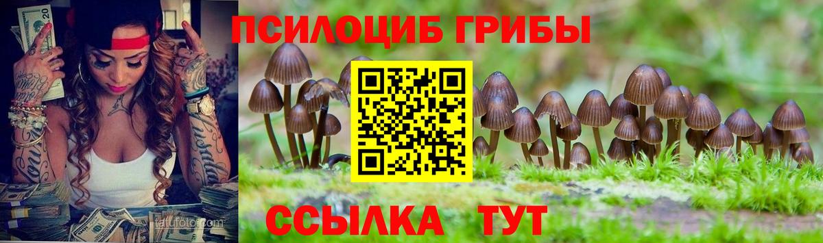 Псилоцибиновые грибы GOLDEN TEACHER Чита