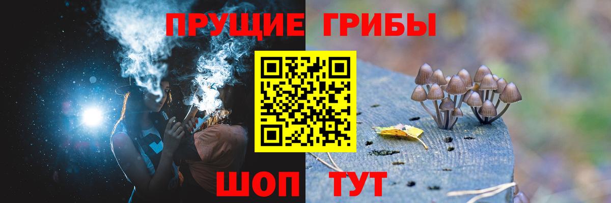 Псилоцибиновые грибы мицелий  купить  сайты  Чита  Вход с VPN 